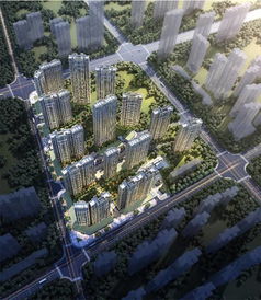 口碑好盤締造者,武漢這家公司你知道嗎