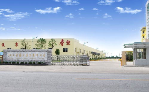 江西省春絲食品