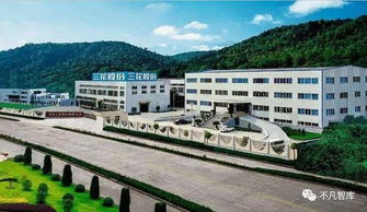 從鄉鎮小廠到世界第一 三花智控的逆襲之路